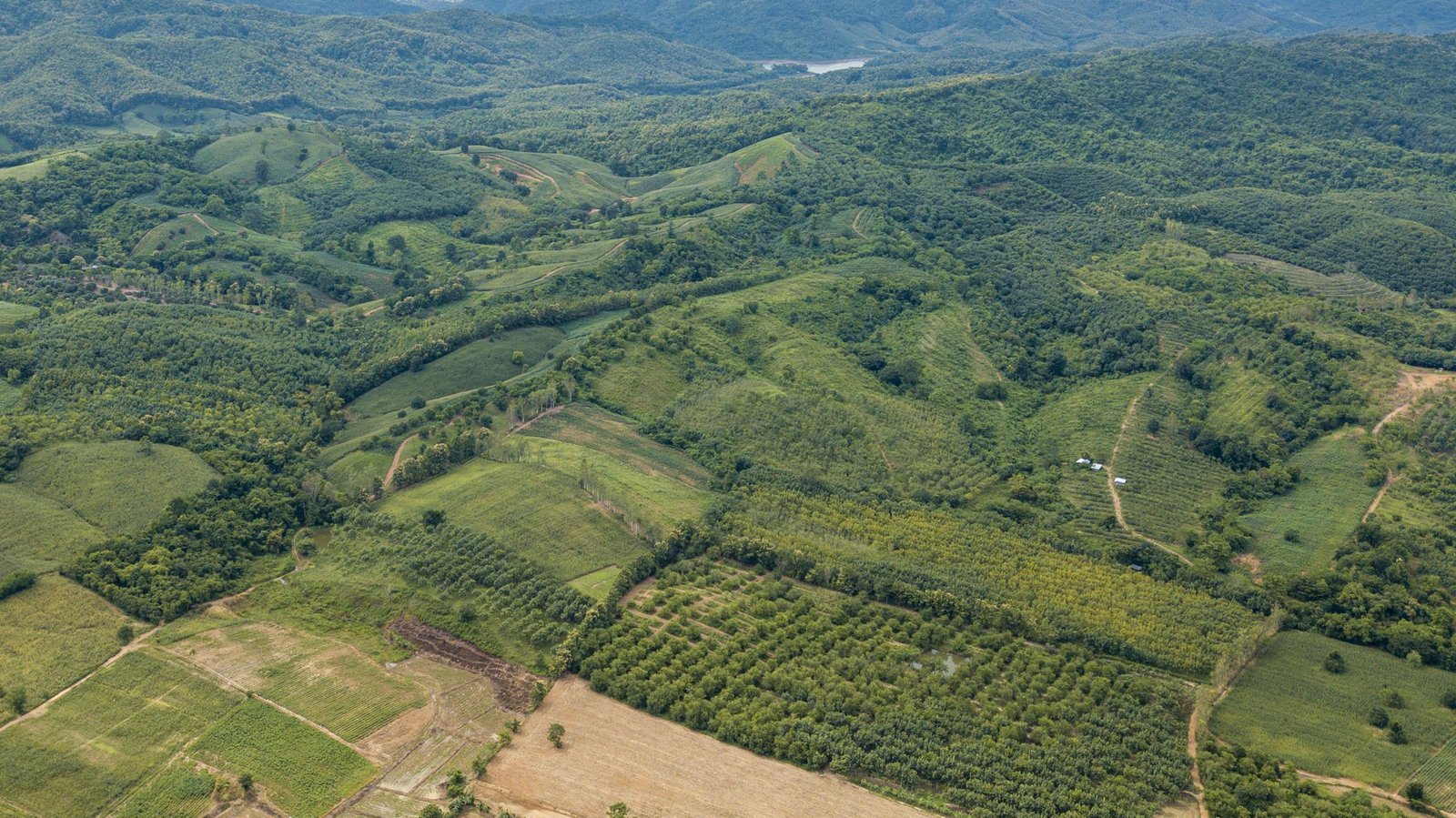 high angle view agricultural field scaled