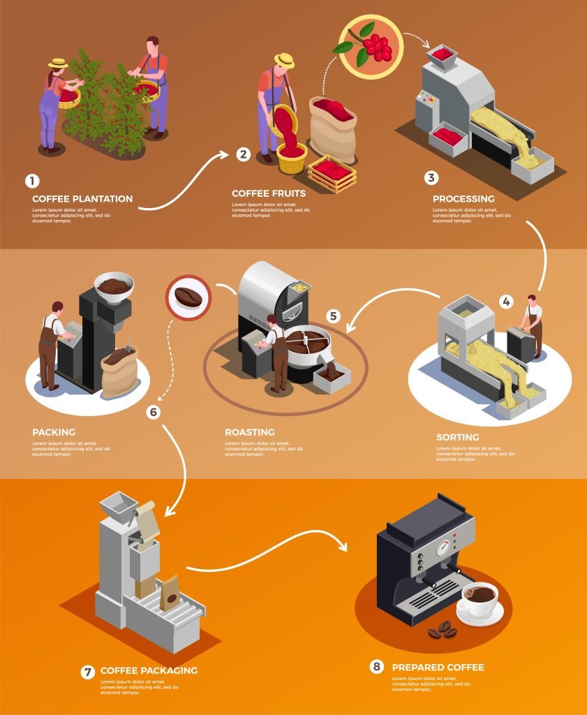 1905.i201.033 coffee industry production isometric composition