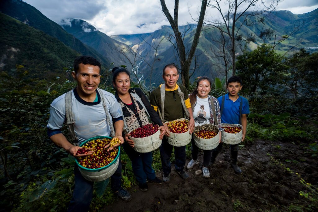 family coffee farmers posing with their trays full coffee happy work