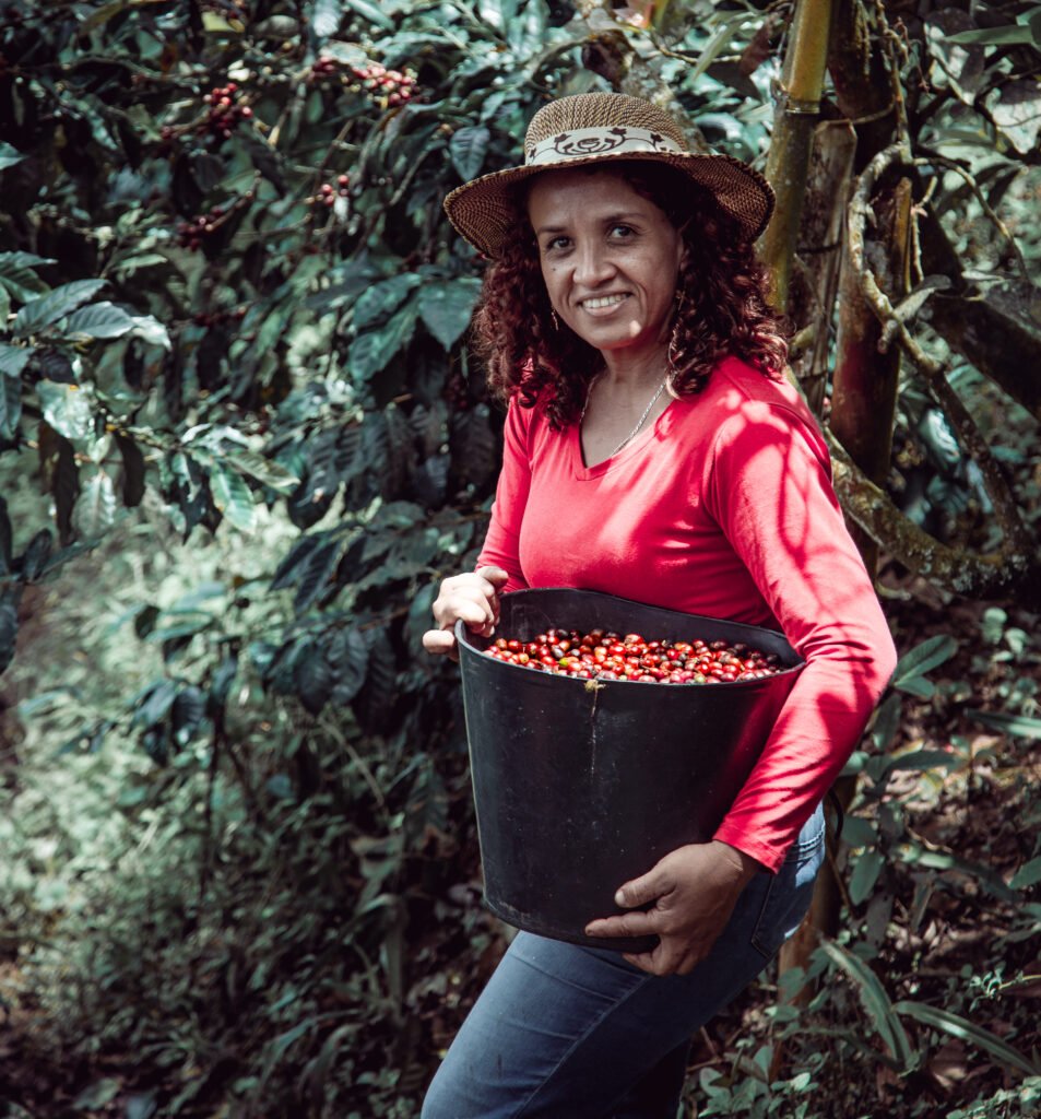 farmer woman picking her colombian coffee farm 1